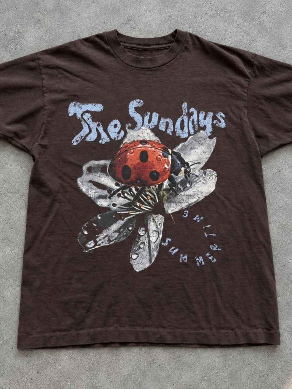 Gildan Brown Short-Sleeve Tee with Red Ladybug Graphic